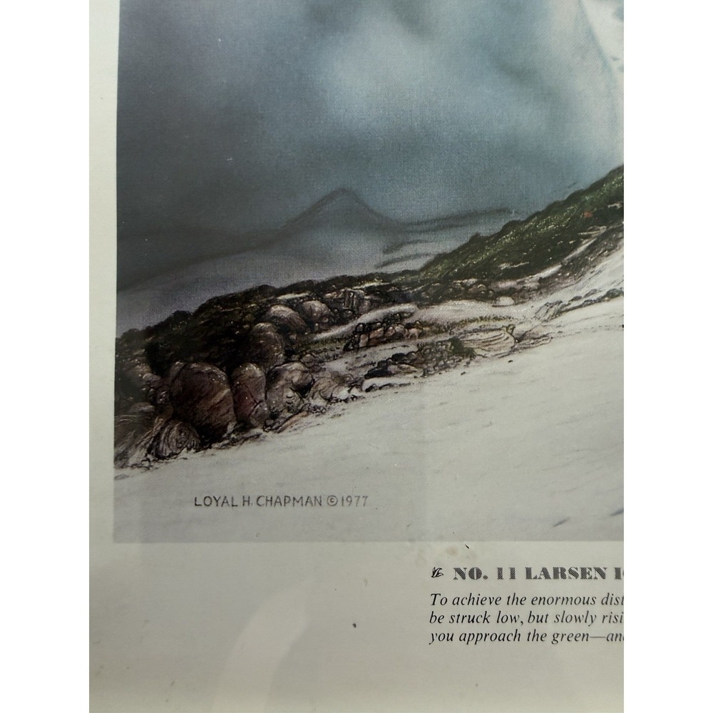 Loyal H Chapman No 11 Larsen Ice Shelf Golf Landscape Print Infamous 18 9.5x12.5 - Picture 3 of 4